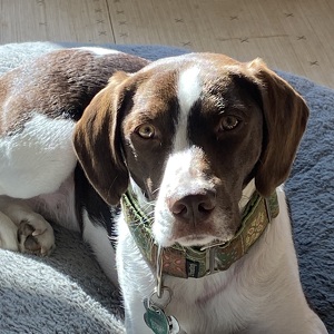 Fundraising Page: Gail Olberg